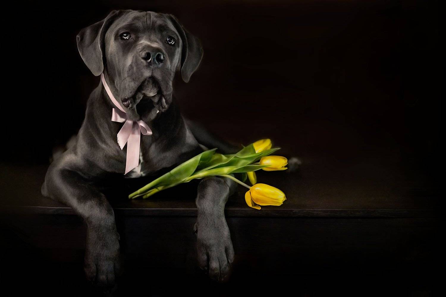 , Оксана Сироштан