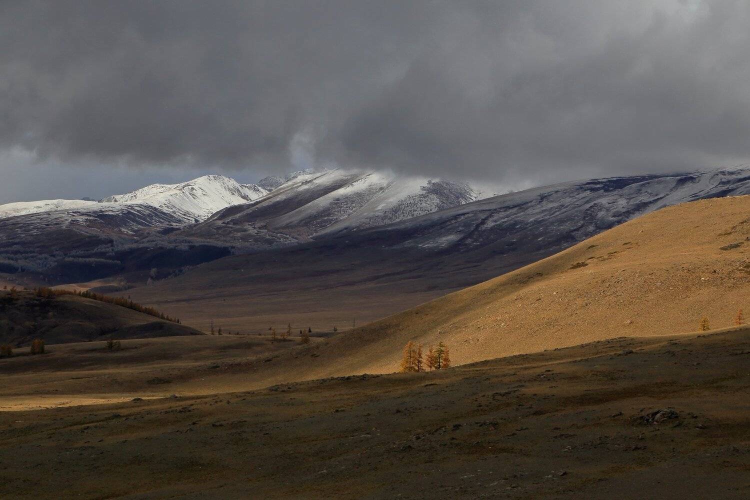 , Евгений Зинов