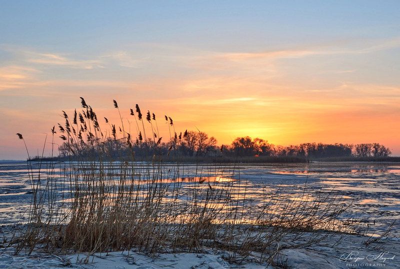 март, утро, рассвет, восход, камыши. острова, днепровские плавни, ледоход Мартовский восход. Плавни фото превью