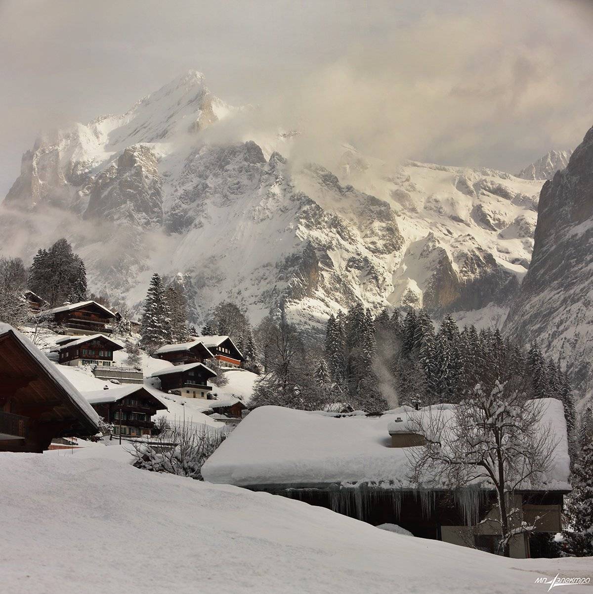 swiss, Матвеев Николай