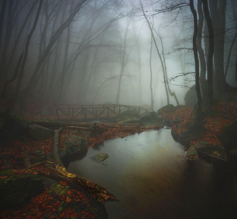 Trapped by the mist / Захваченный в тумане фото превью