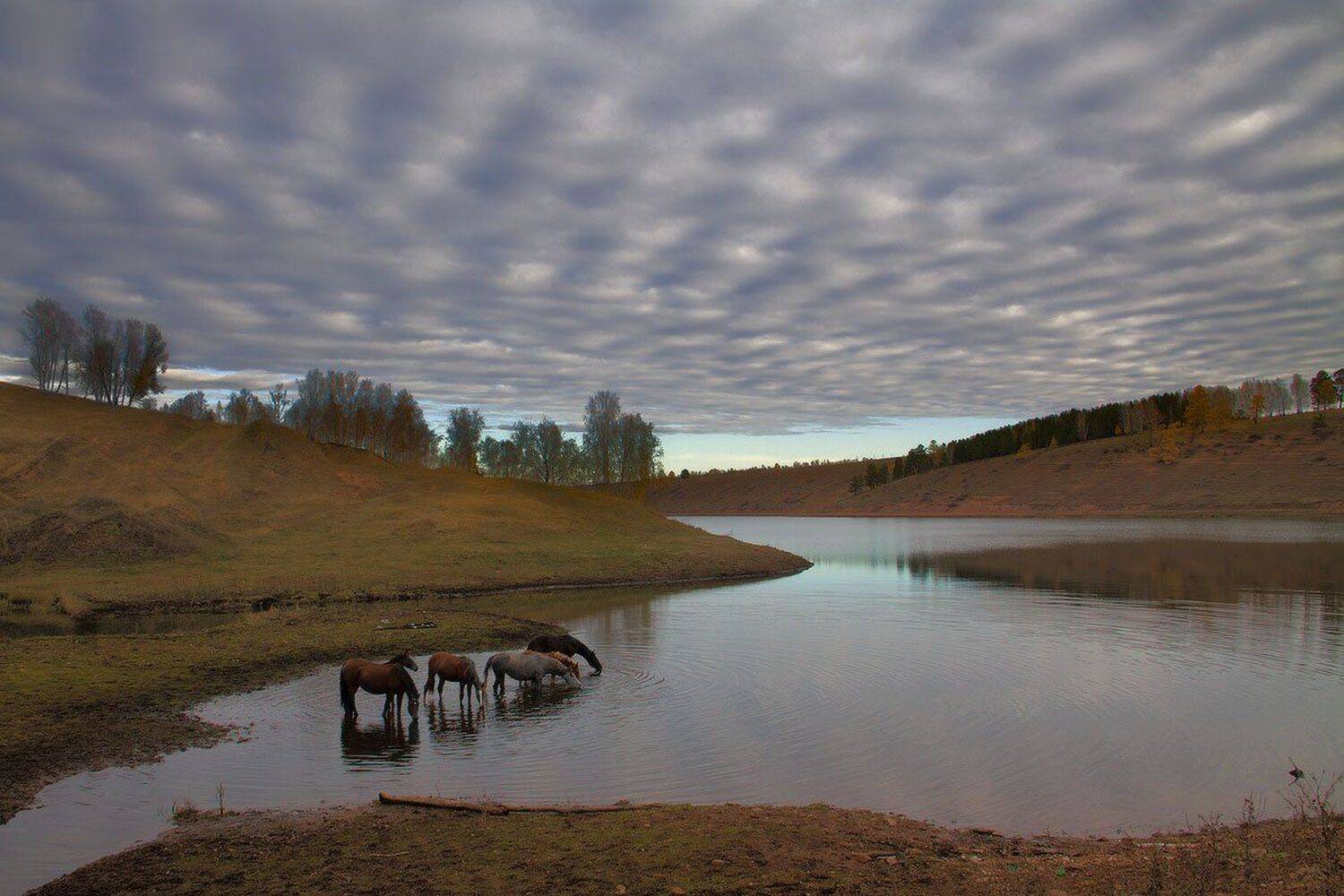 , Николай Морский