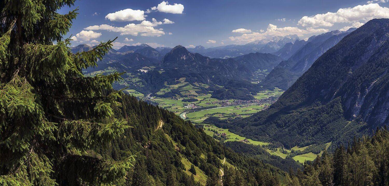 , Игорь Мелекесцев