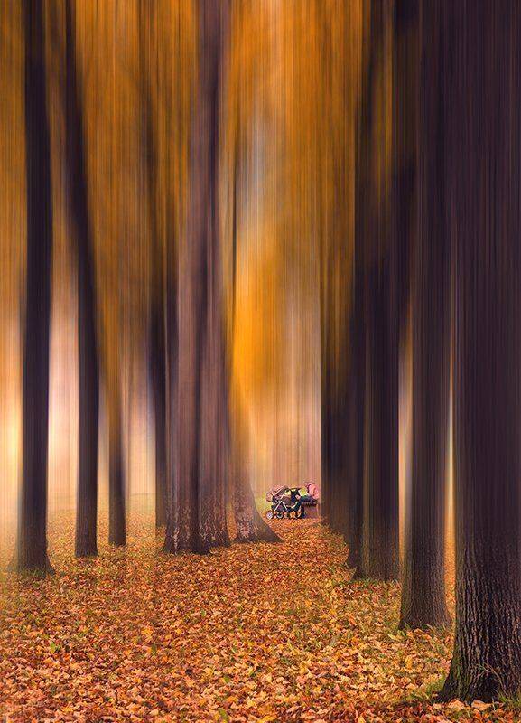 , Аркадий Белов