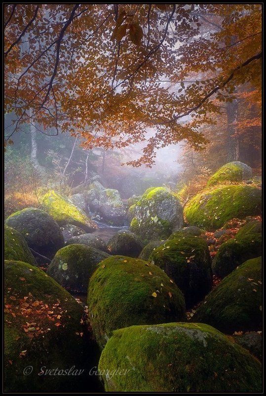 bulgaria, vitosha  фото превью