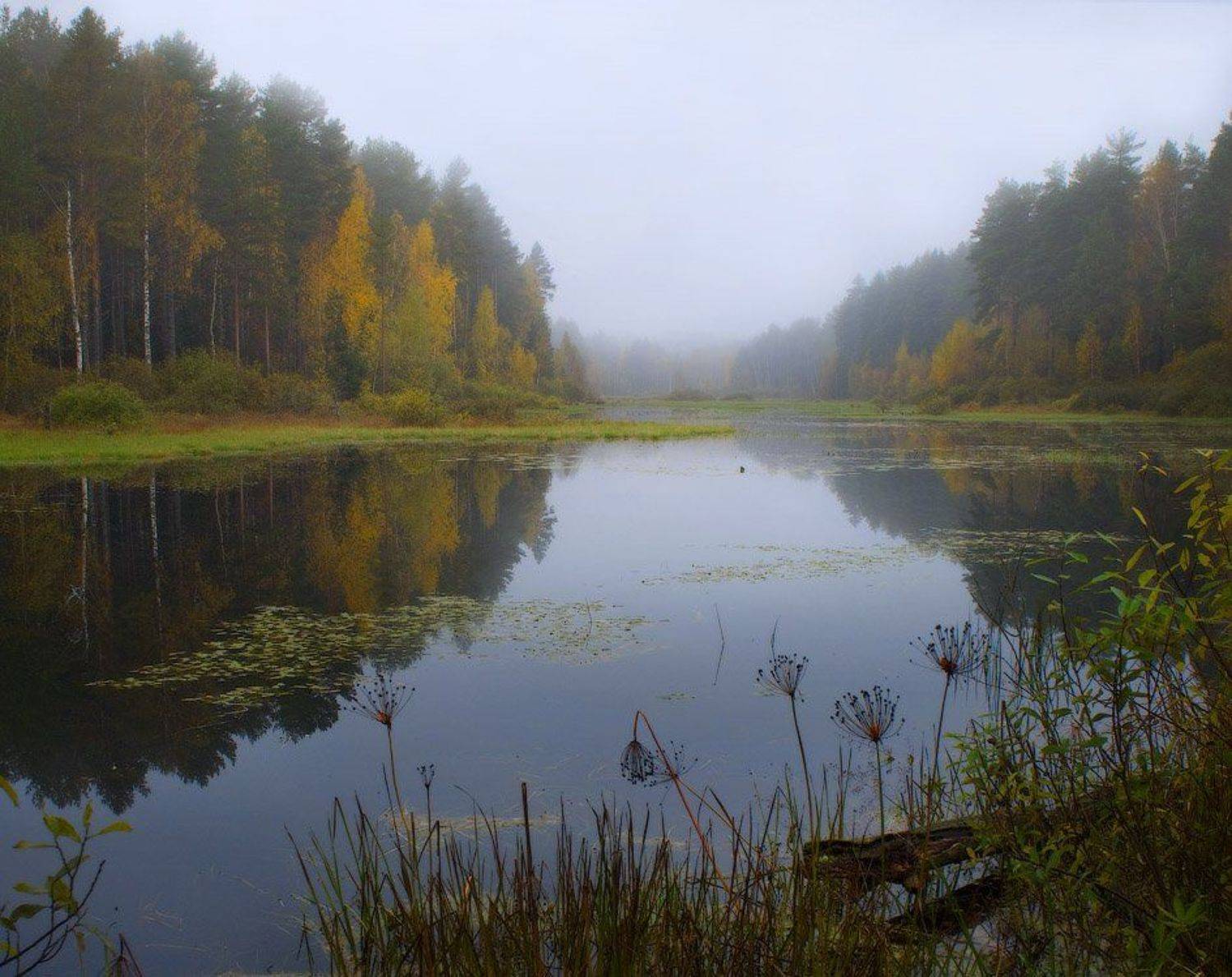 , Дмитрий Алексеев