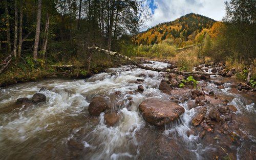 В поисках Рожкавского золота
