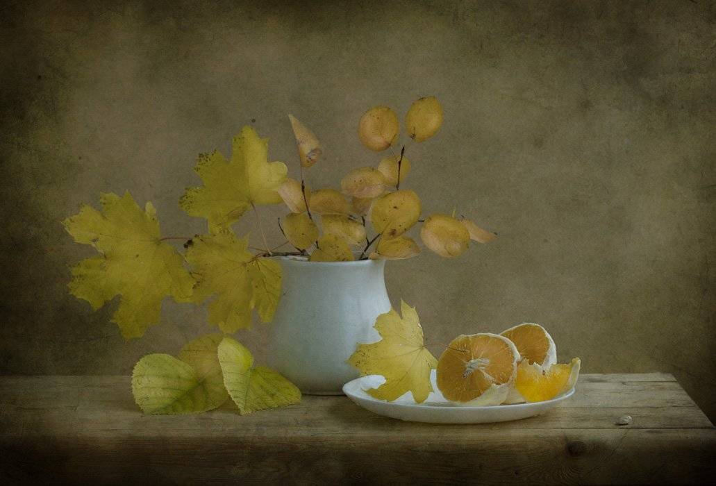 , Петрова Татьяна