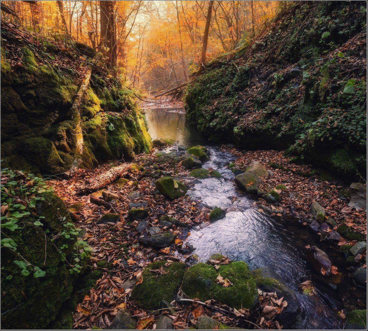 , Андрей Кровлин