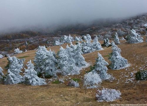 Первый снег