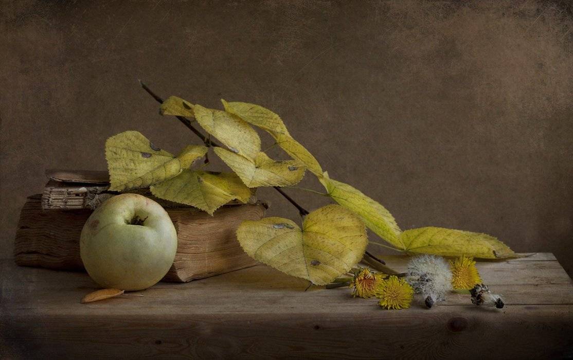 , Петрова Татьяна