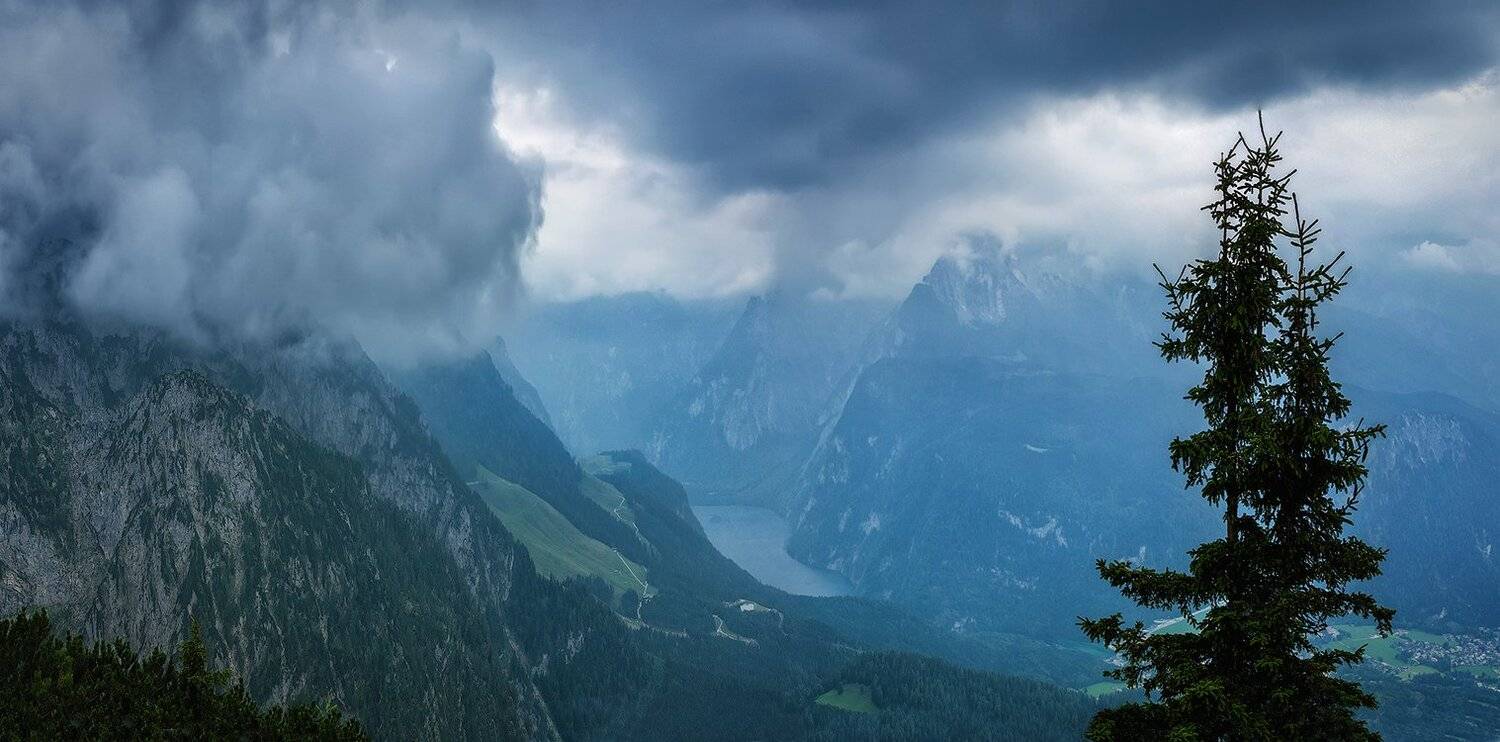 , Игорь Мелекесцев