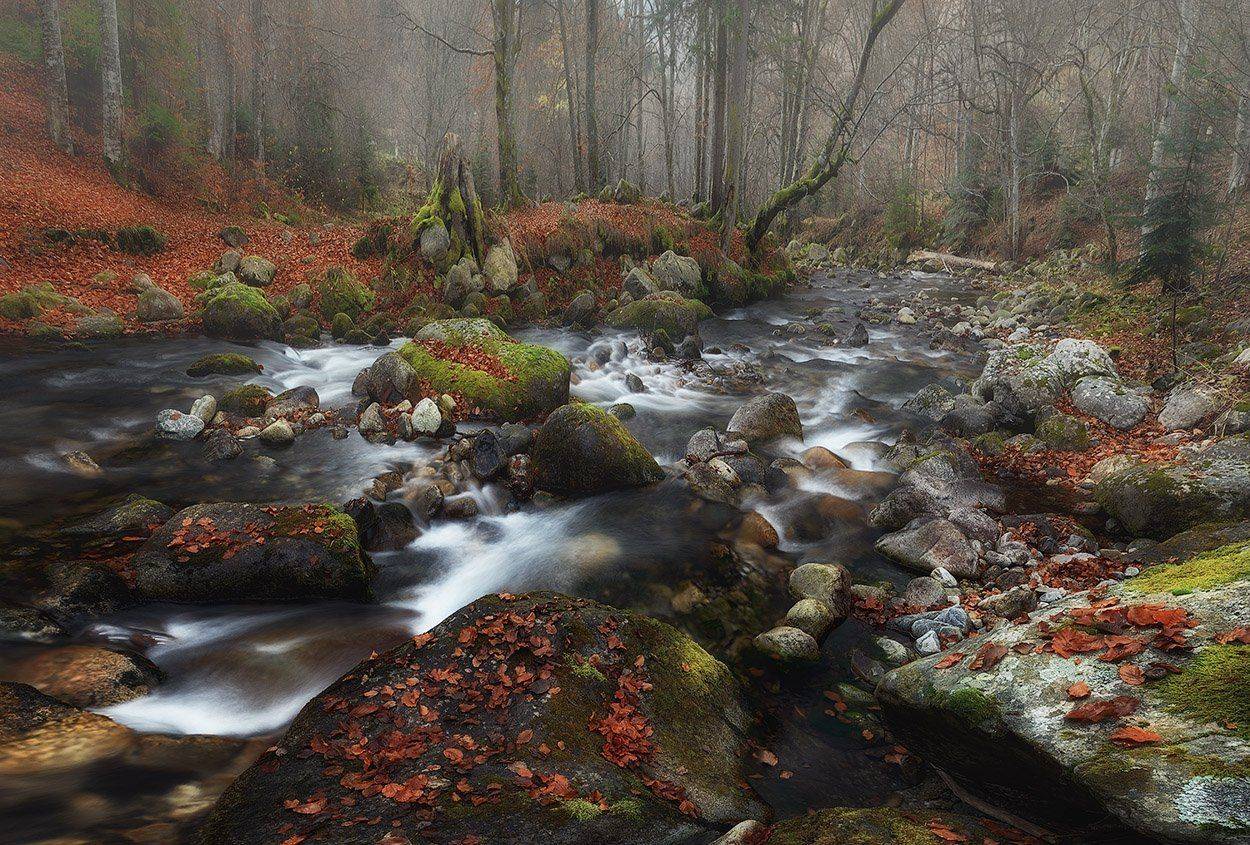 Болгария, Осень, Река, Туман, Красимир Матаров