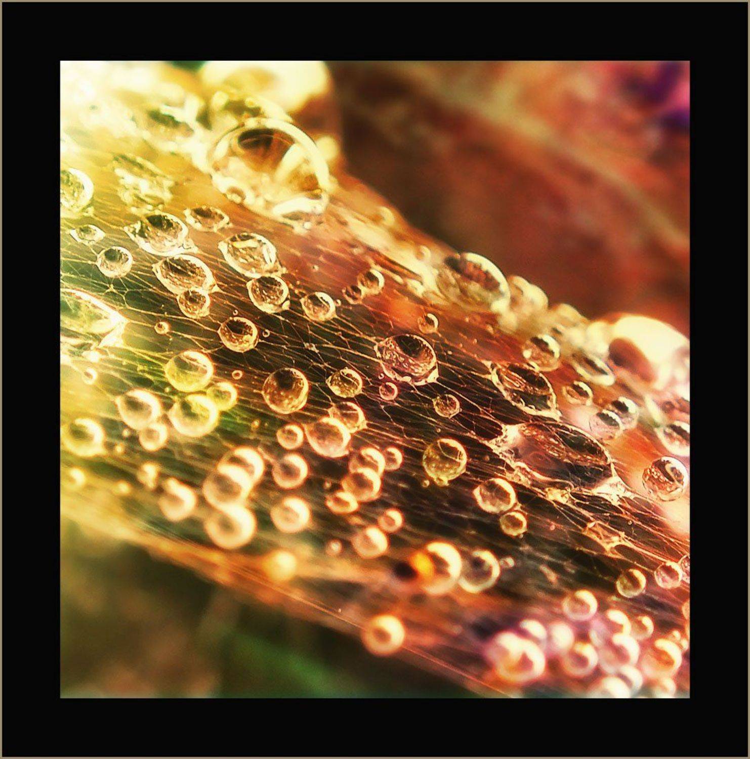 , Радковская Наталья