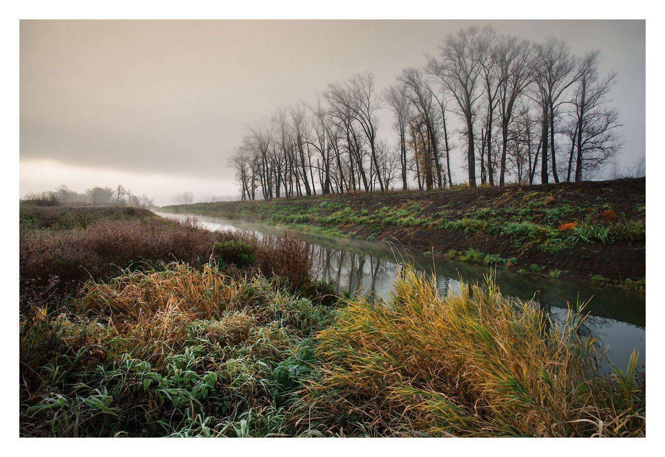 , Владимир Ляпин