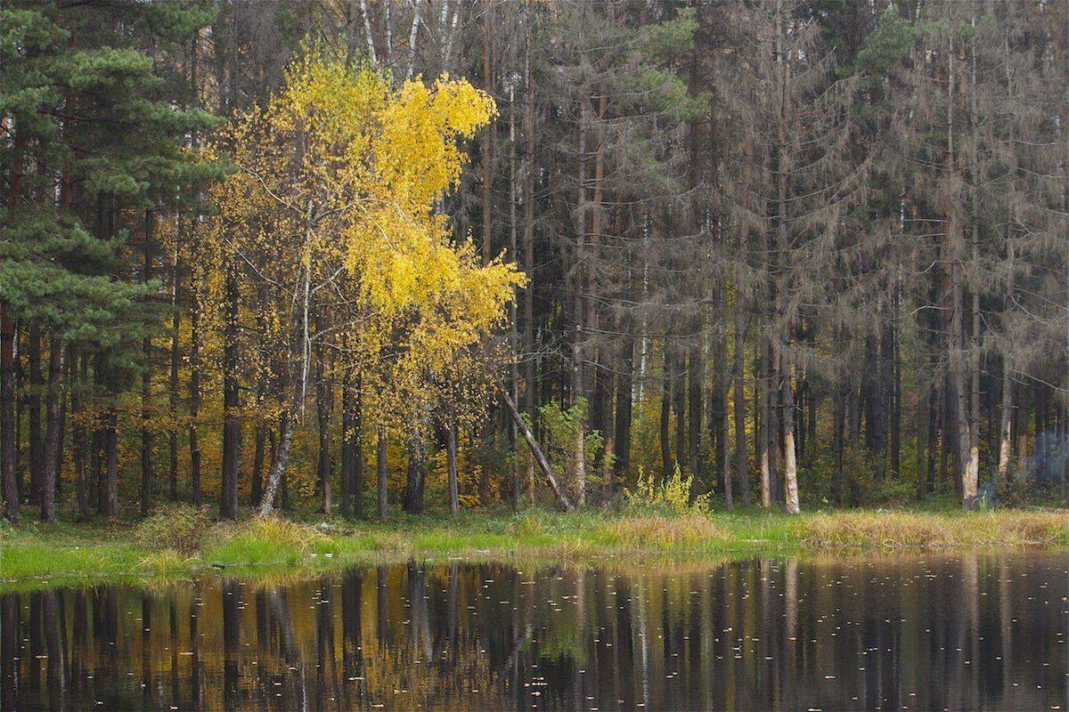 , Ирина Назарова