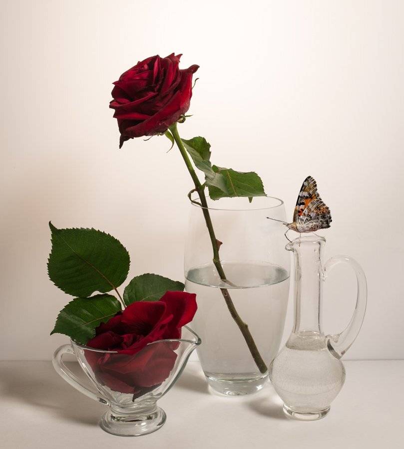 , Людмила Прокофьева