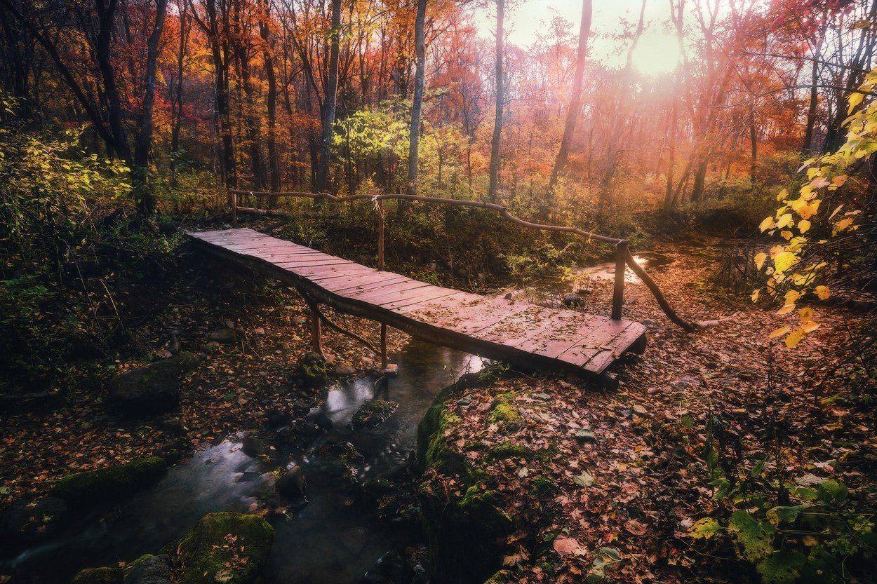 , Андрей Кровлин