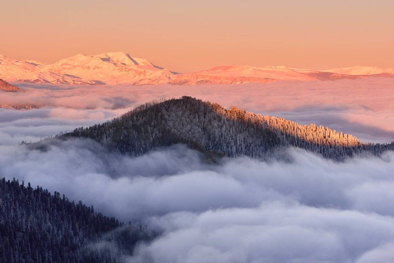 , Максим Евдокимов