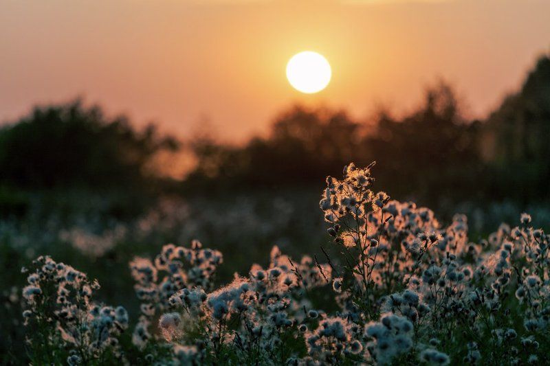 Вечер фото превью