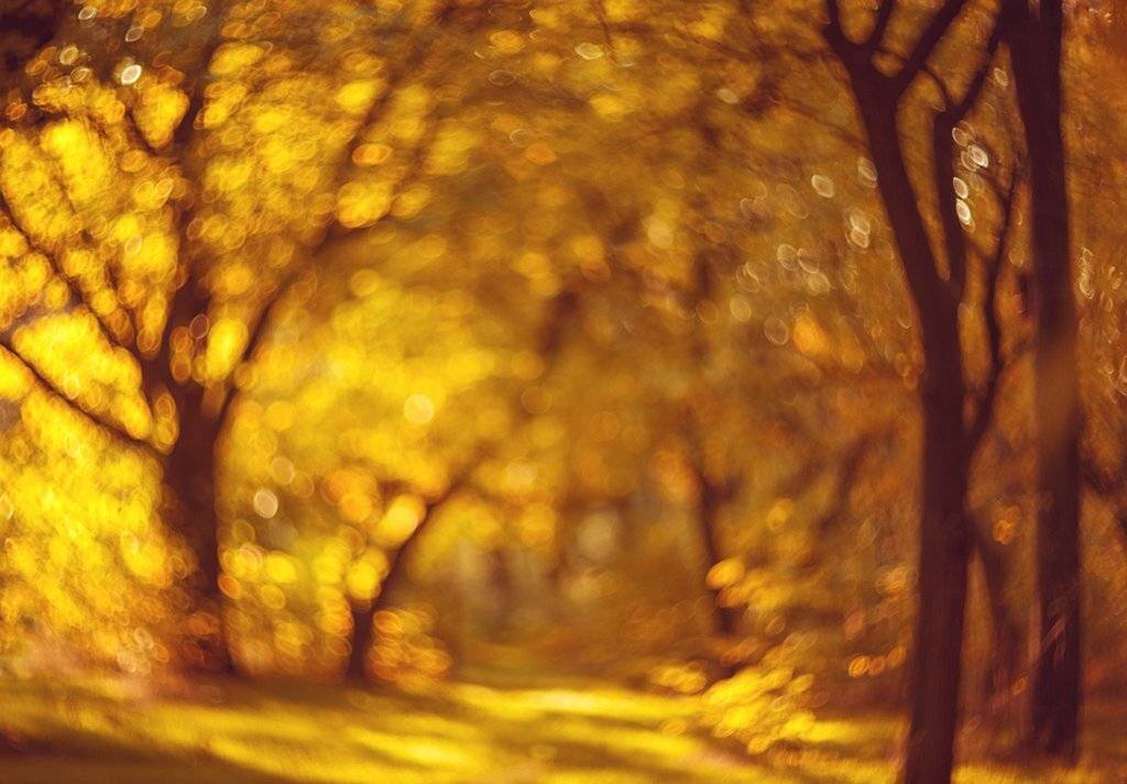 , Татьяна Аверина