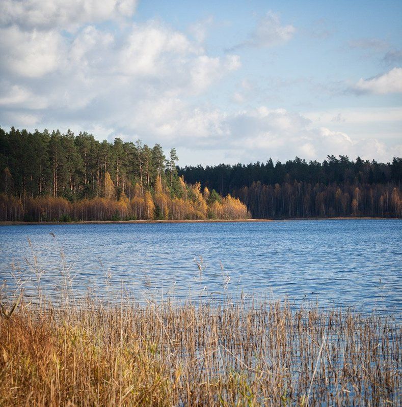 * фото превью