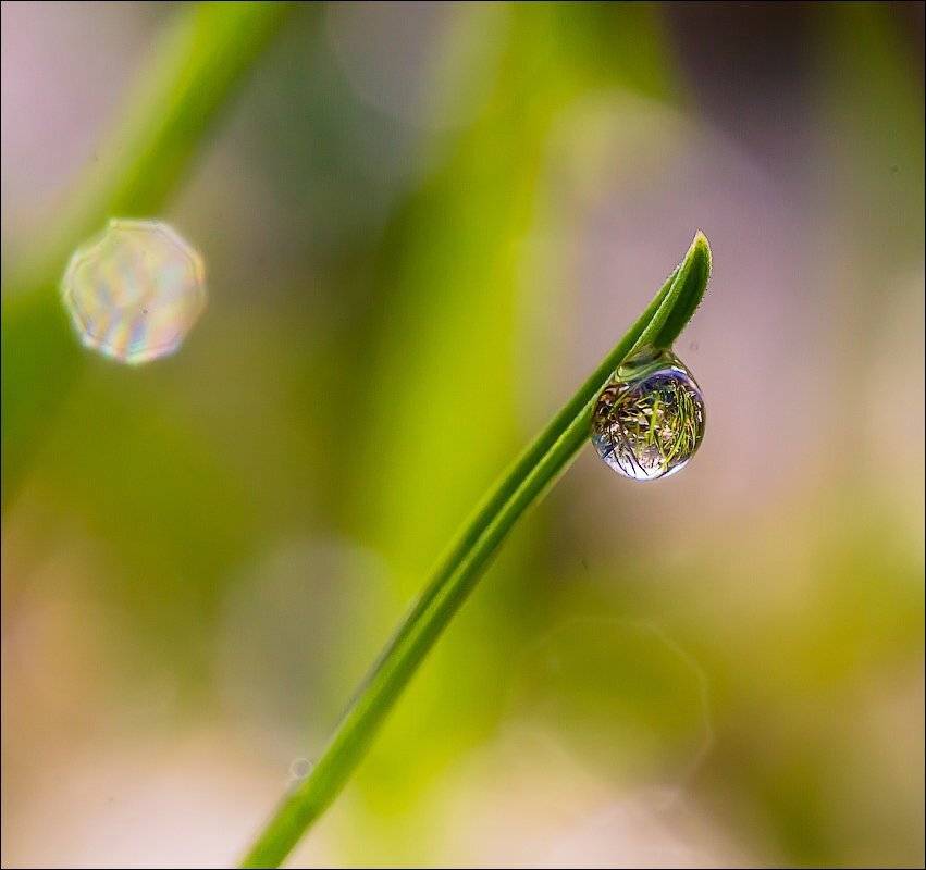 , Бурлов Андрей