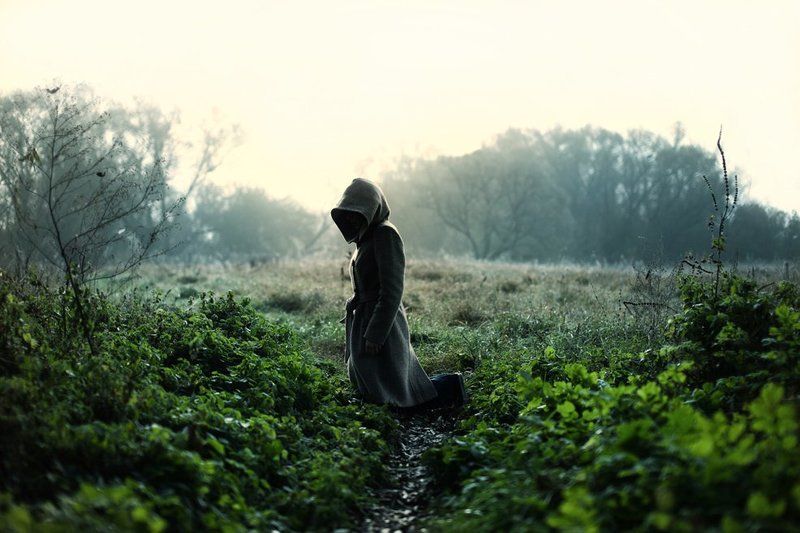 haze of reason фото превью