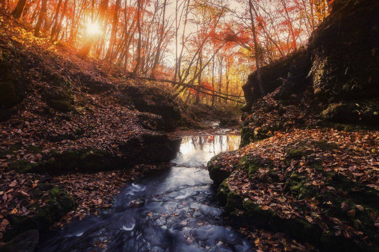 , Андрей Кровлин