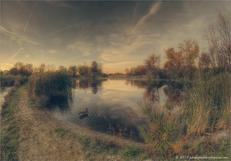 Untitled... фото превью