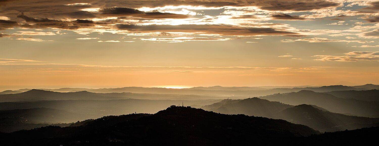 , Игорь Дубровский