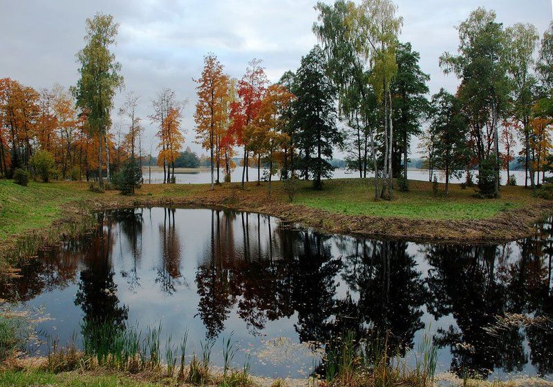 ... фото превью