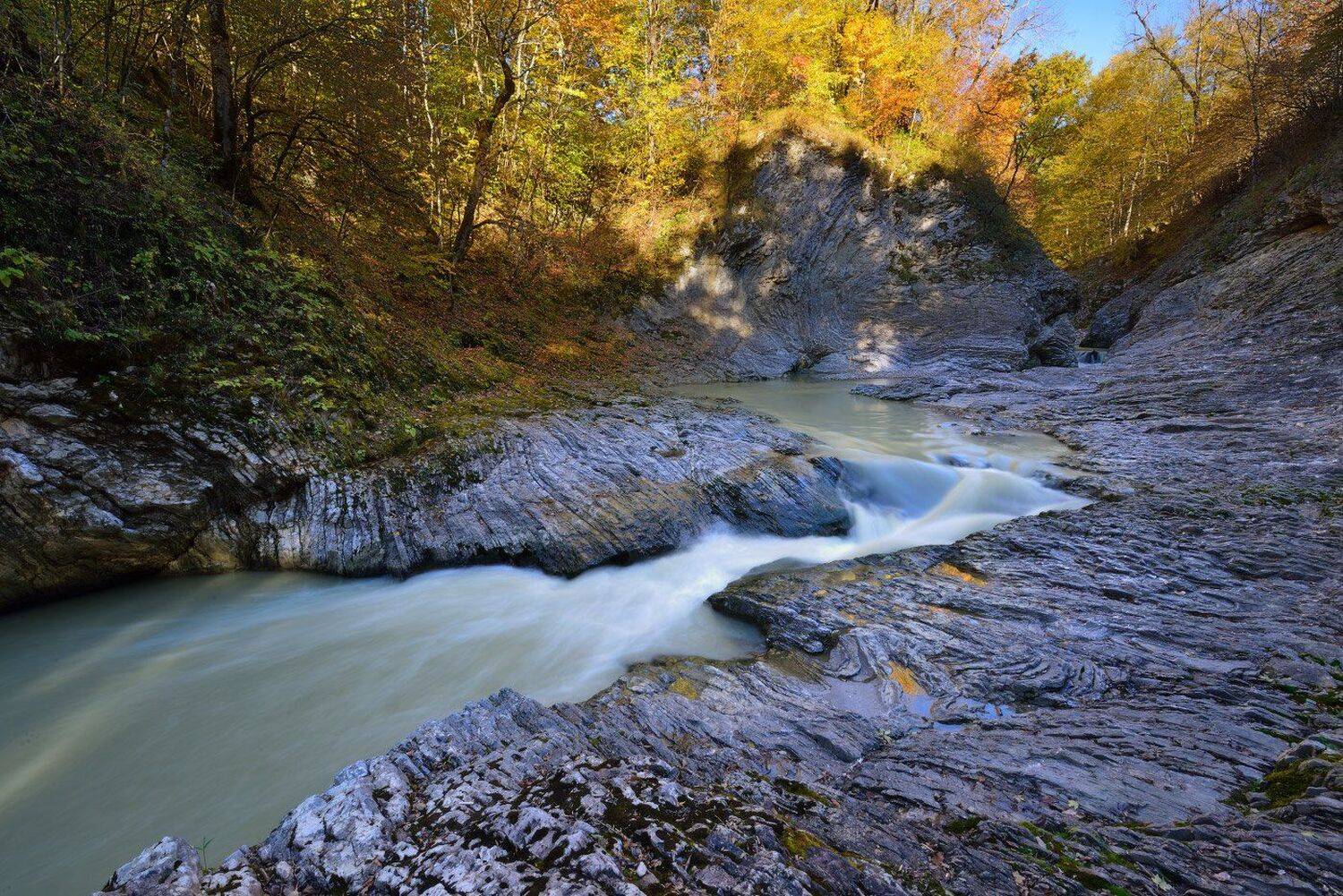 , Максим Евдокимов