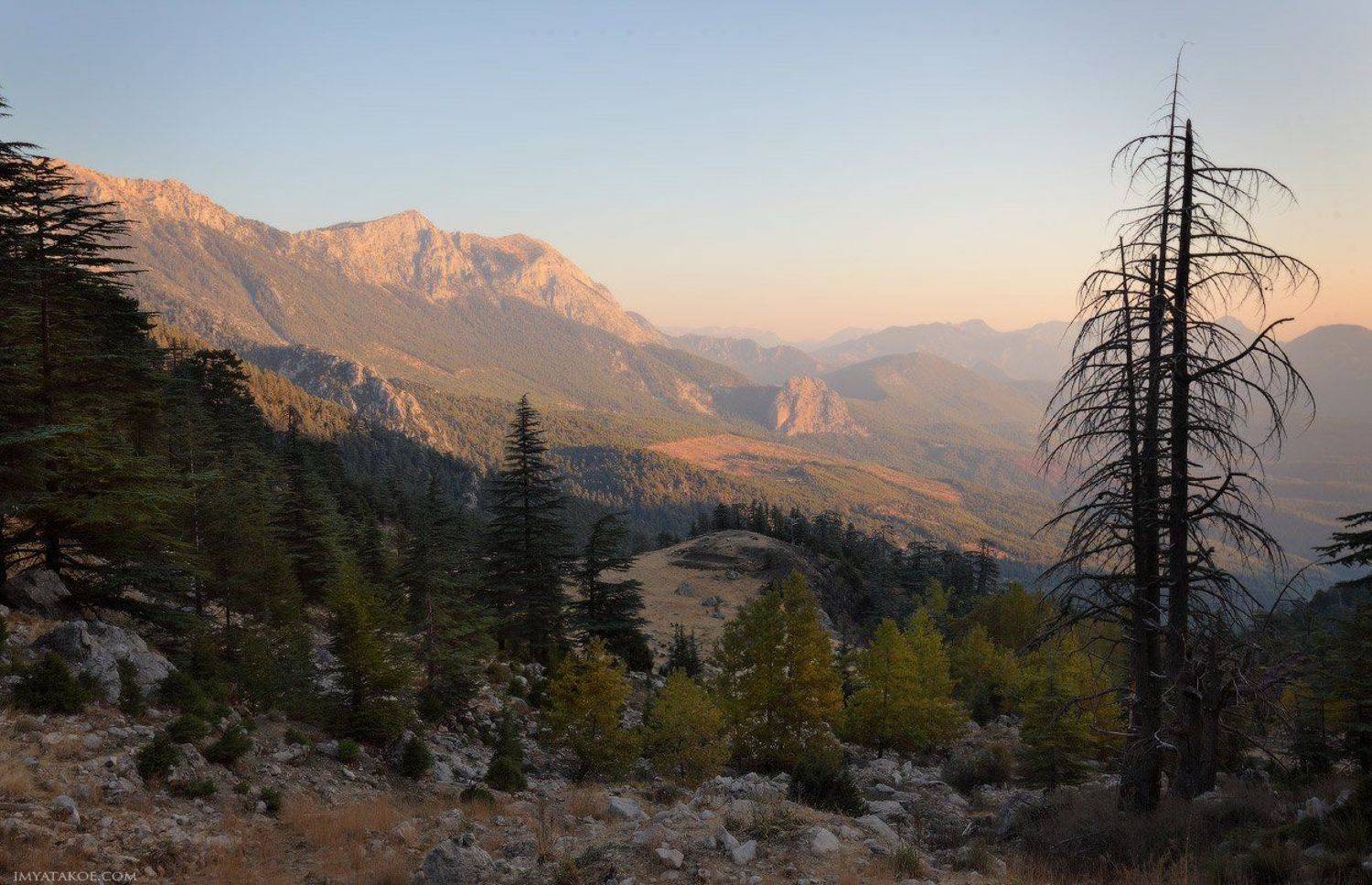 , Михаил Псарёв