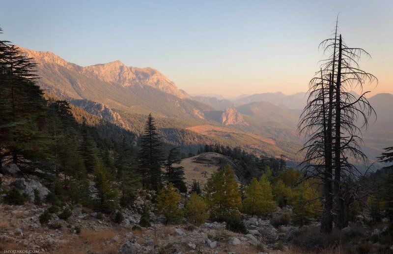 Утро Турецкое фото превью