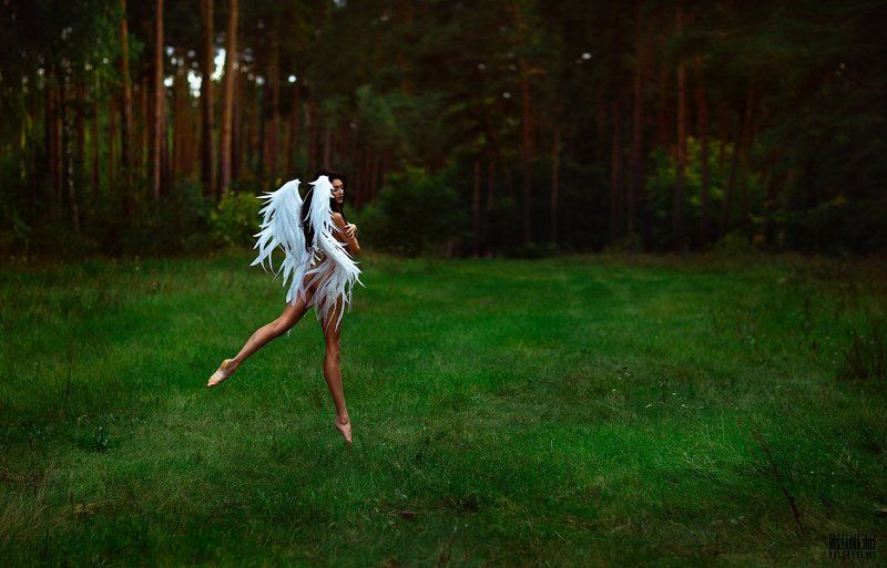 фото превью