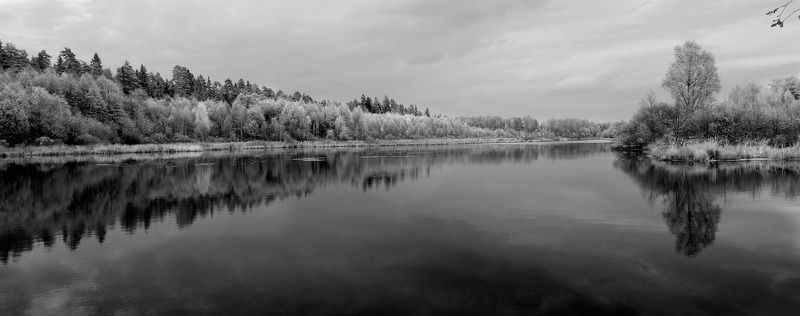 Разная осень фото превью