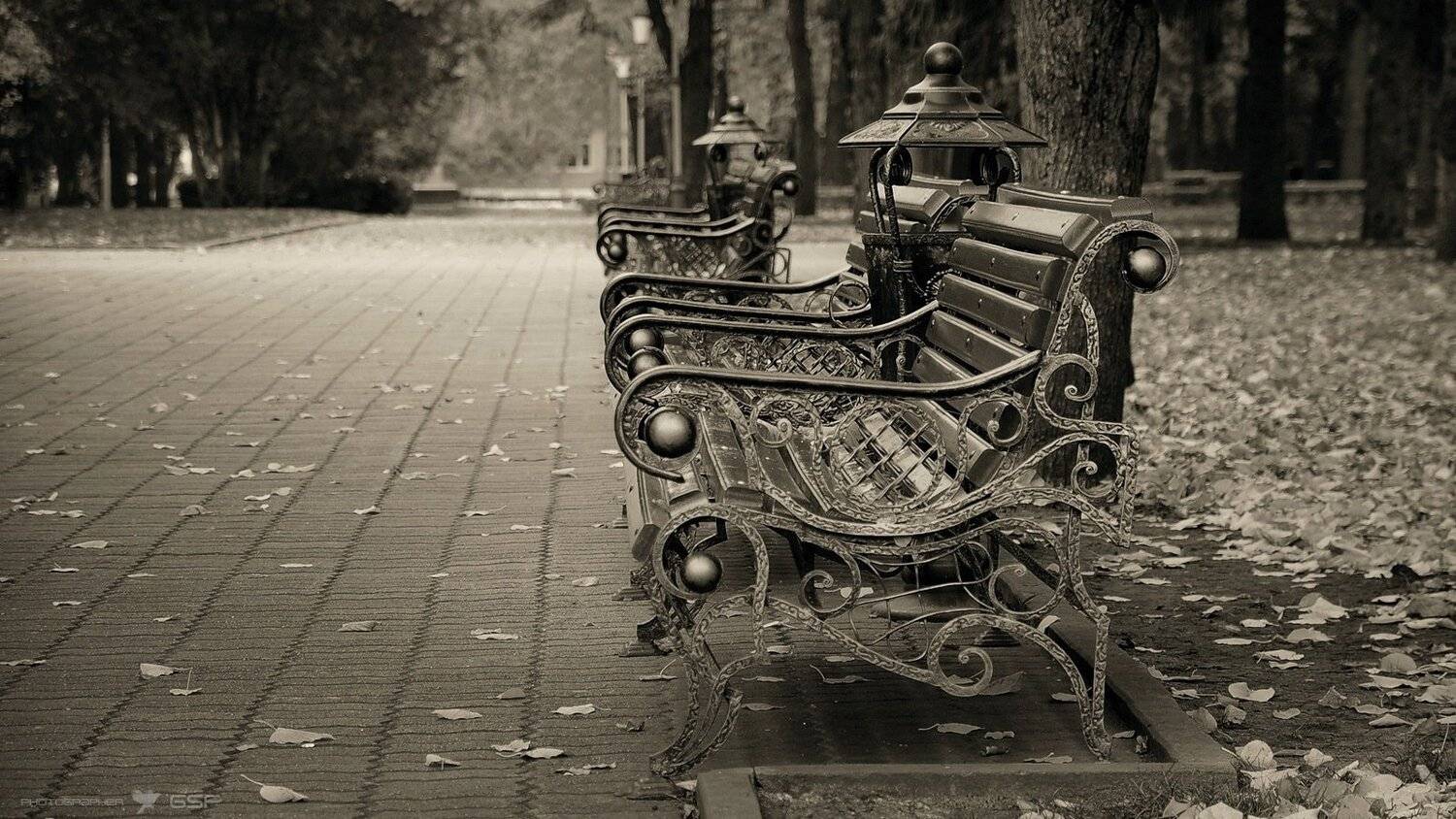 осень, парк, скамейки, листья, грусть, Serj Master