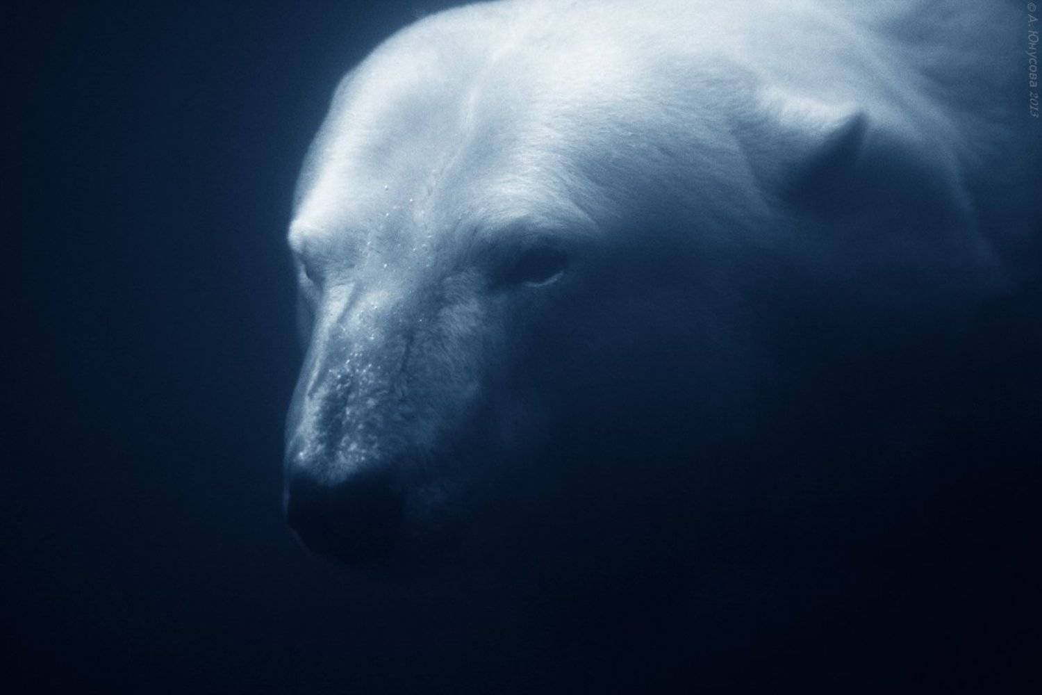 , teamS| Юнусова Анна