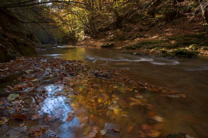*В багрец и золото одетые леса* фото превью