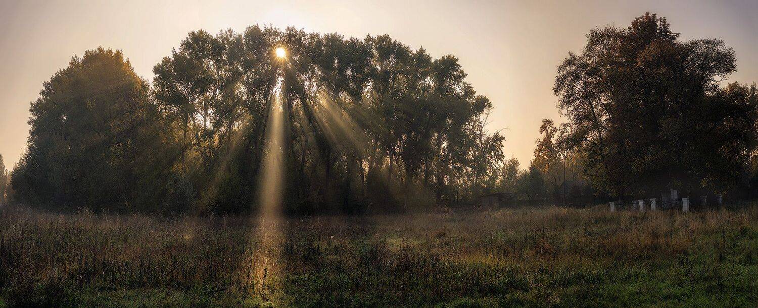 , Игорь Мелекесцев