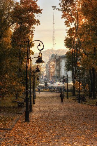 Осень в парке