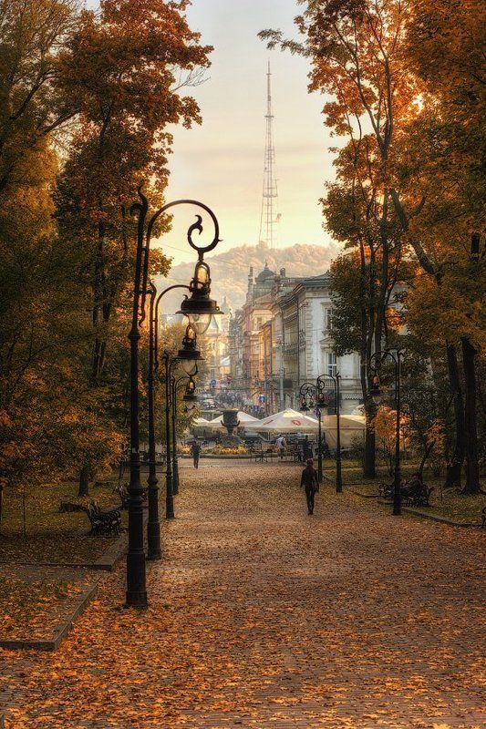 Осень, Парк Осень в парке фото превью