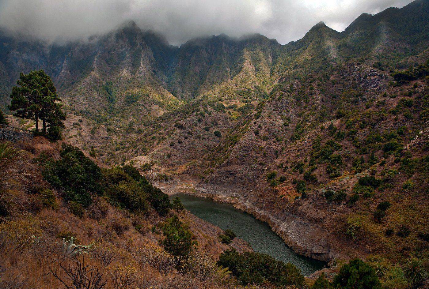 , Андрей Канышев