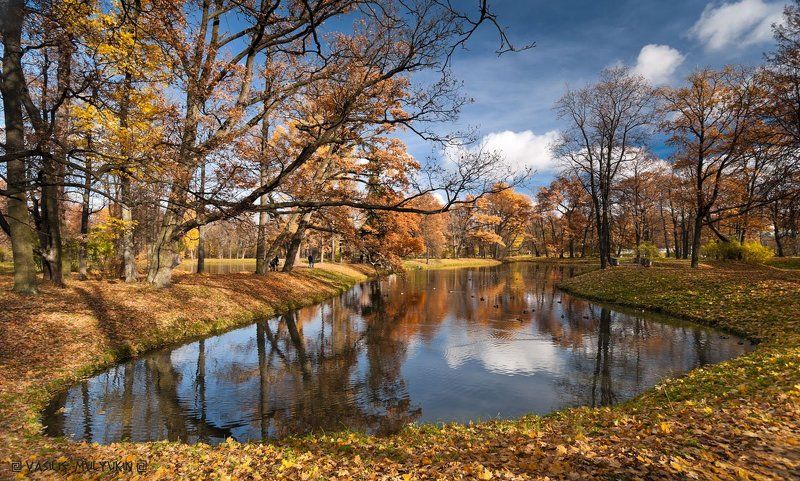 В Александровском парке .... фото превью