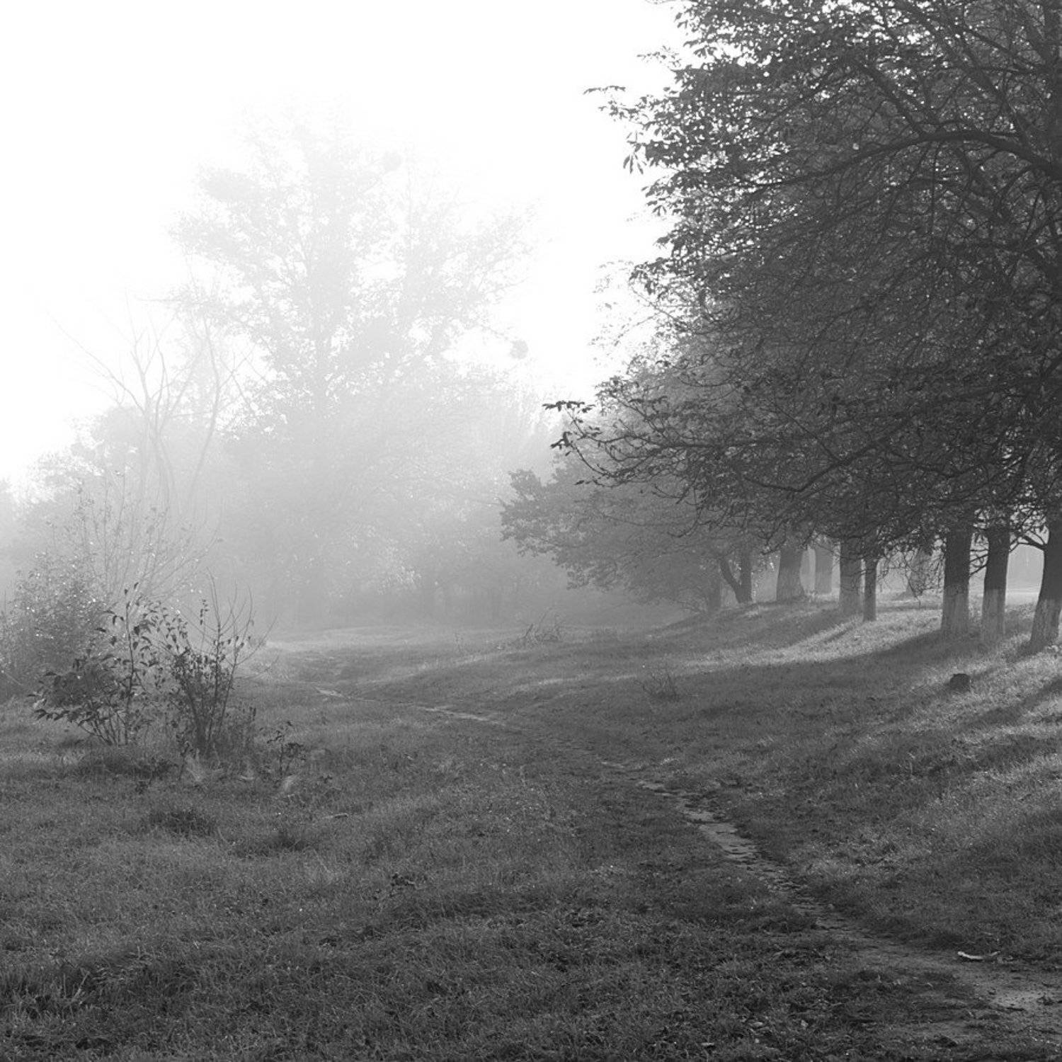 , Володимир Коцюбенко