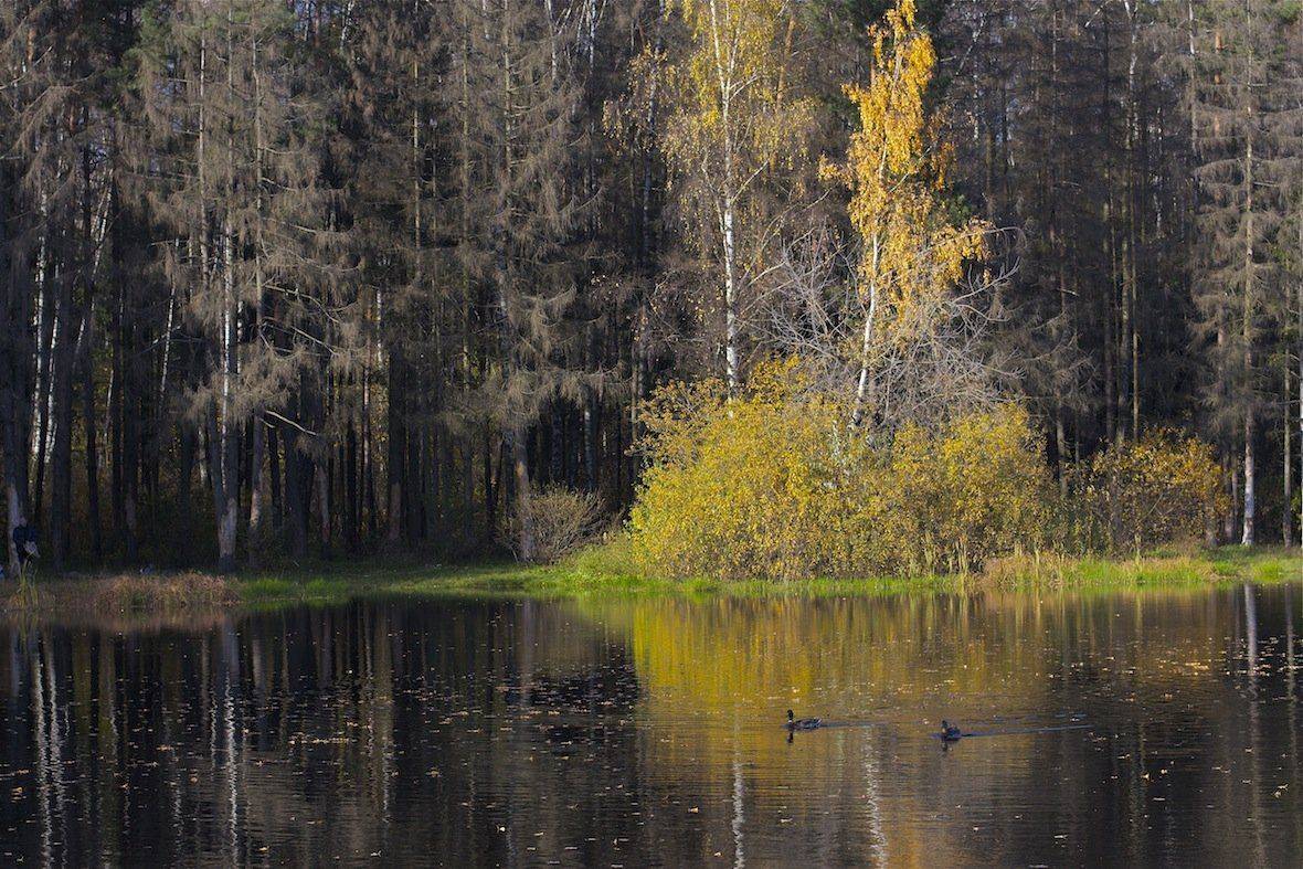 , Ирина Назарова