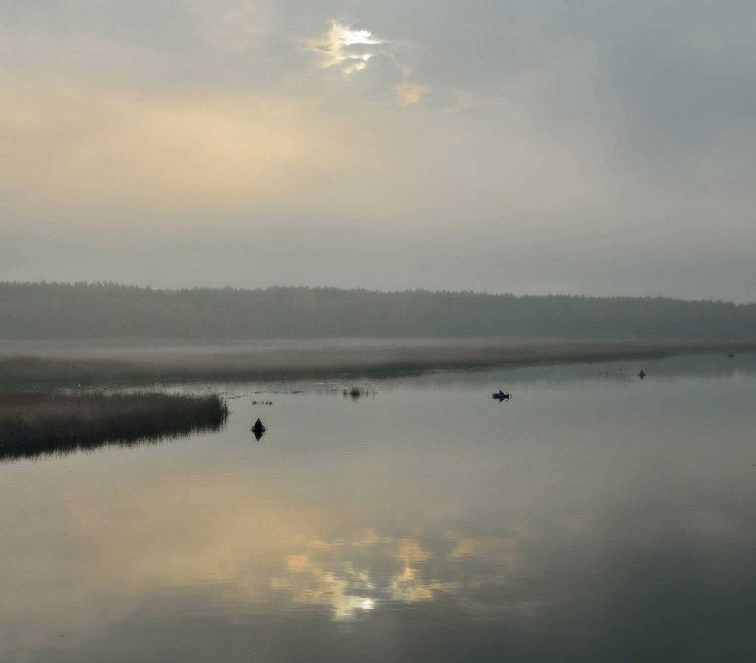 туман, рыбаки, Животков Андрей