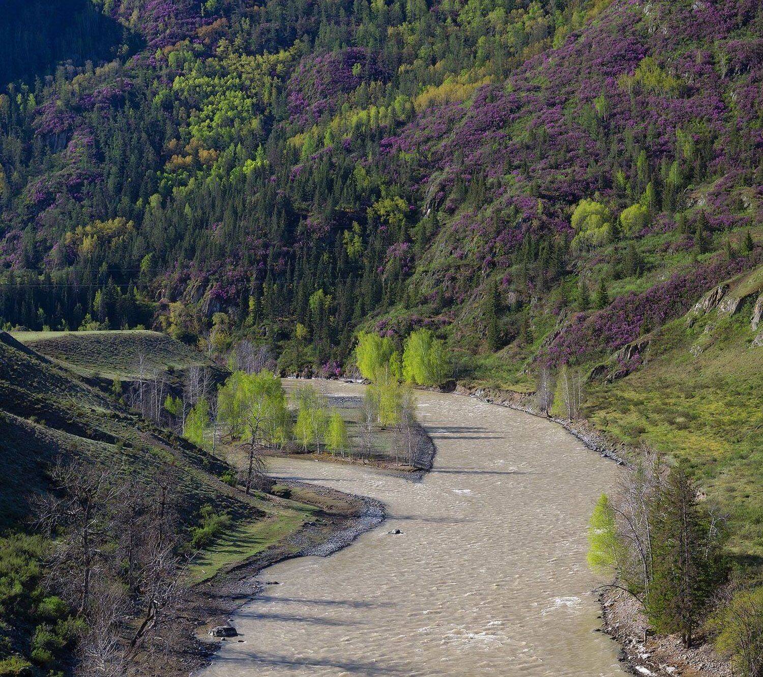 , Лещёнок Александр