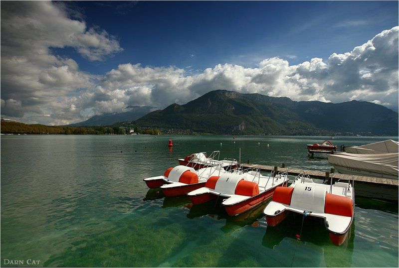 В ожидании прогулки фото превью